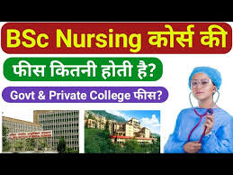 bsc nursing government college fees