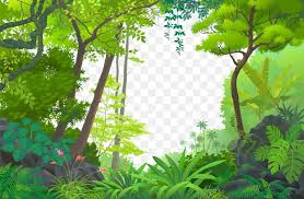 Tropical rainforest is a biome added by biomes o' plenty. Jungle Euclidean Vector Tropical Rainforest Png 1000x655px Amazon Rainforest Biome Branch Ecosystem Flora Download Free