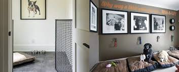 top 60 best dog room ideas canine