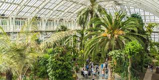 kew gardens plant and flower facts