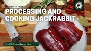 hunt process and cook jackrabbit