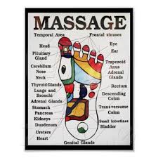 Thai Foot Massage Reflexology Map Poster Zazzle Ca