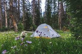The popular lake tahoe resort area also has national forest land and a dispersed camping policy. Is Camping Free In National Forests An Answer For Every Nf Small Cars Big Camping Experiences