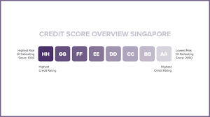 check my credit score in singapore