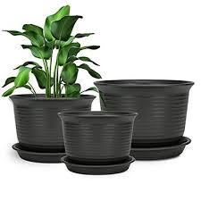 Large Planters For Indoor Plants