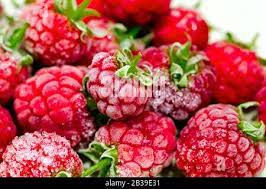 Close Up View On Frozen Raspberries On A Branch Food Background  gambar png