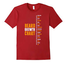 Zany Brainy Epic Beard Growth Chart T Shirt Funny Tee Samdetee
