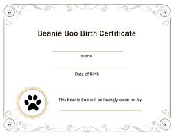 Beanie Boo Birth Certificate Pdf Download And Print For