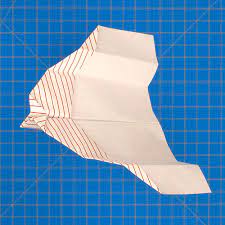 fold n fly the bird paper airplane