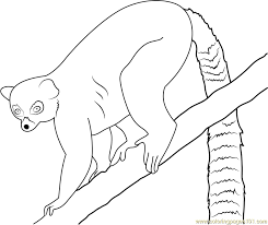 Coloring pages for children are a favorite item, since they can be discovered in any library or store for children. Lemur Coloring Page For Kids Free Lemur Printable Coloring Pages Online For Kids Coloringpages101 Com Coloring Pages For Kids