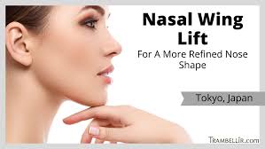 nasal wing lift for a more refined