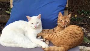 ת××× × ×§×©×ר×