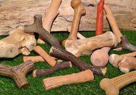 3 best wood dog toys 17 tested and