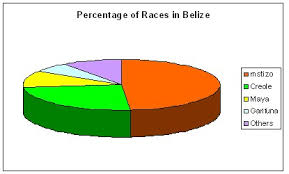 Fantasy Bar Graph And Pie Chart Of Races In Belize