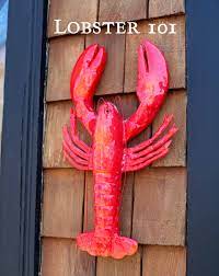 lobster 101 all about maine lobsters