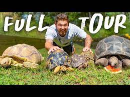 private tortoise turtle sanctuary