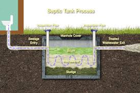 homemade septic tank treatment how to