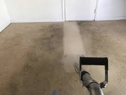 the 1 carpet cleaning in plainfield