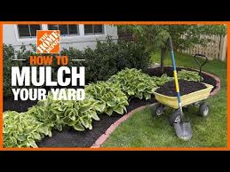 how to mulch your yard the