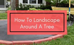 How To Landscape Around A Tree Purple
