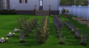 The Sims 4 Best Fertilizer To Use