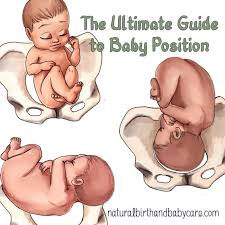 The Ultimate Guide To Baby Position In The Womb Natural