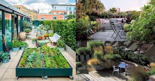 Roof Top Agriculture Or Roof Top Garden