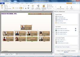 Free Org Chart Template Ipasphoto