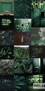 Search free green wallpaper wallpapers on zedge and personalize your phone to suit you. Green Aesthetic Dark Green Aesthetic Emerald Aesthetic Aesthetic Dark Green Aesthetic Green Aesthetic Dark Aesthetic