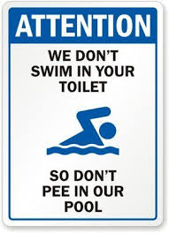 Cannot help but dive when you see a swimming pool? Pool Bath Pool Quotes Pool Signs Funny Signs