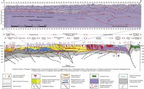 Mesozoic Tectono Magmatic Response In