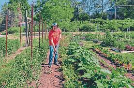 grants help grow community gardens