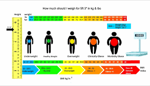 Healthy Weight Range Chart Average For Women Height Charts