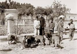 kuş evleri osmanlı ile ilgili görsel sonucu