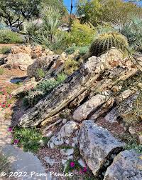 a texas style crevice garden and