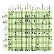 Sample Companion Planting Chart 7 Documents