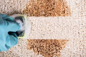 carpet cleaning services revitalize