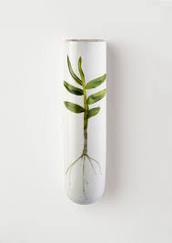 Wall Vase Angus Celeste