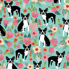 boston terriers fabric wallpaper and