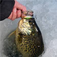4 Panfish Ice Baits You Need Bass Pro