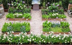 10 Best Home Garden Ideas To Enhance