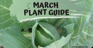 March Planting Guide For Zone 7 Our