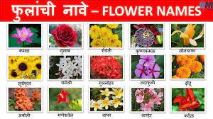 flower names in marathi फ ल च