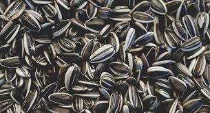 calories in sunflower seeds are they