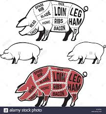 Butcher Diagram Scheme And Guide Pork Cuts Set Of Pig