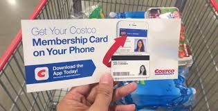 They do not accept mastercard, american express, or discover cards. Costco Membership Cards Go Digital The Krazy Coupon Lady
