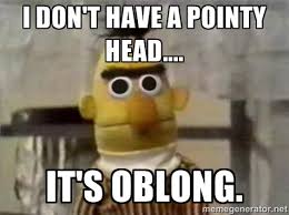 I don&#39;t have a pointy head.... It&#39;s oblong. - Bert | Meme Generator via Relatably.com