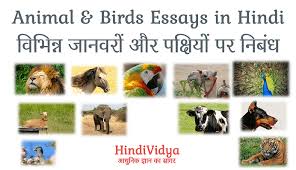 Essay about india essay domestic animals