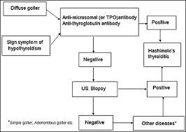 hashimoto s thyroiditis endotext