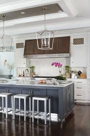painted kitchen tray ceiling design ideas